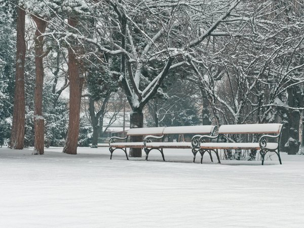 Découvrez les sites incontournables pour acheter du cbd en ligne