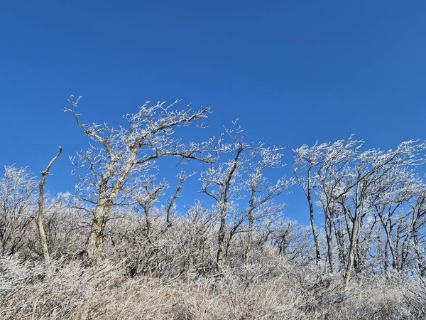 Les Prénoms de Bébé Incontournables en 2022 : Tendances et Inspirations